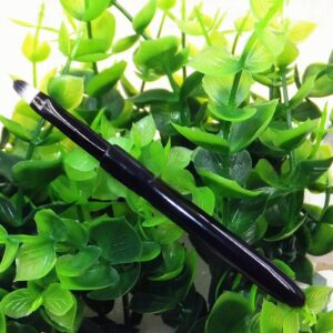 Portable Lip And Eyeliner Brush With A Cap