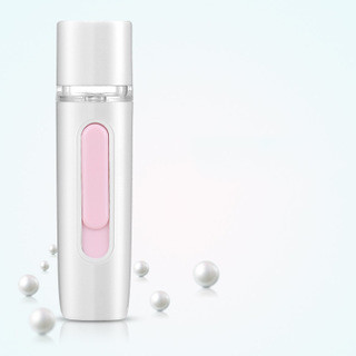 Hand-Held Skin Test Moisturizer Facial Humidifier - Image 5