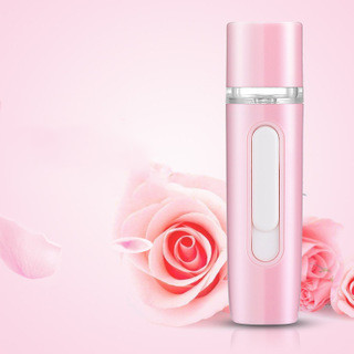 Hand-Held Skin Test Moisturizer Facial Humidifier - Image 6