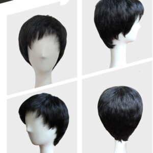 Fluffy short hair wigs