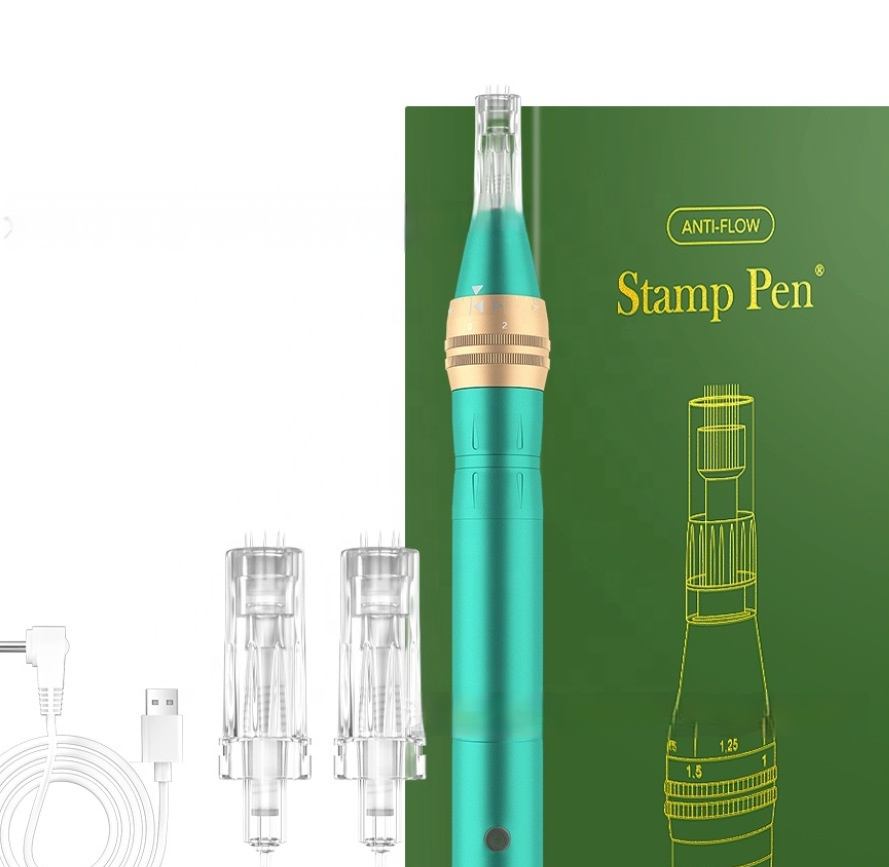 Dual Battery Backflow DG04 Micro Needling Device Five-gear Speed Change